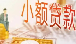 东莞空放民间小额借贷-东莞空放身份证贷款电话-东莞空放大学生信用贷款