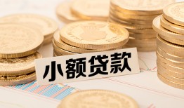 东莞空放哪里有小额贷款-东莞空放身份证贷款平台-东莞空放民间短借