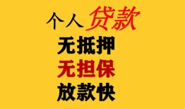 东莞空放本地身份证贷款-东莞空放资金短借-东莞空放无抵押短借